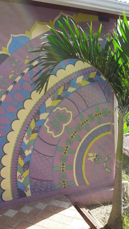 Montana Linda Guest House Orosí 外观 照片
