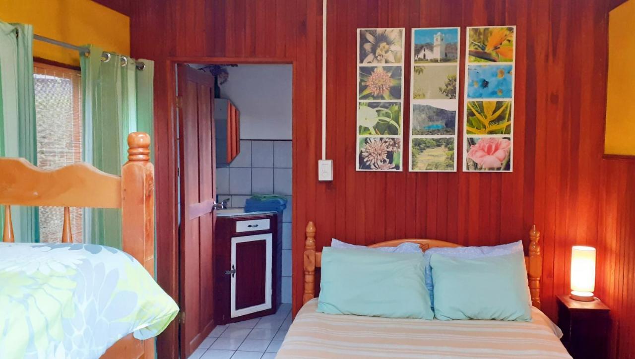 Montana Linda Guest House Orosí 外观 照片