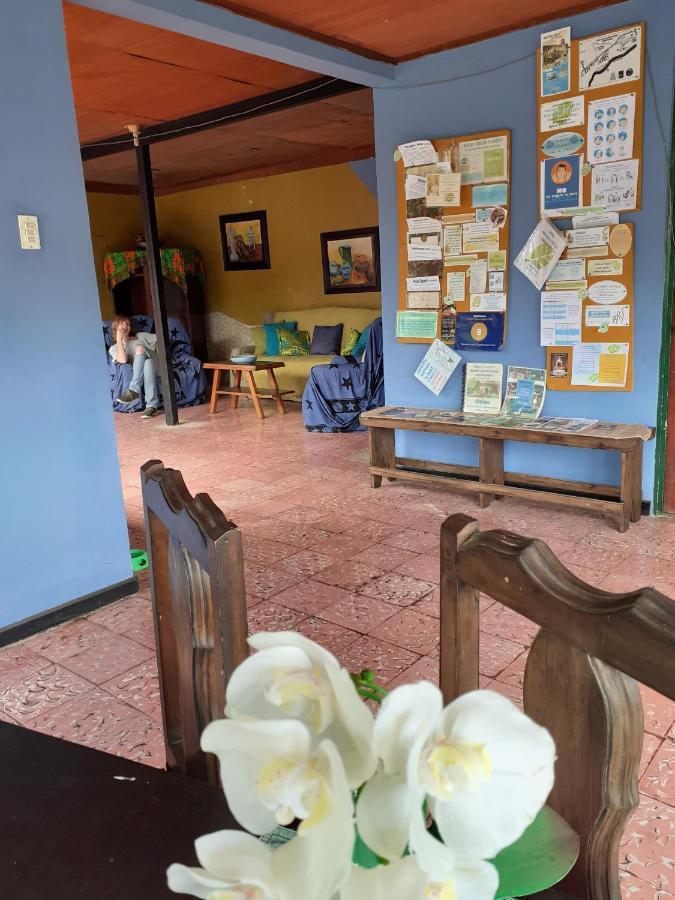 Montana Linda Guest House Orosí 外观 照片