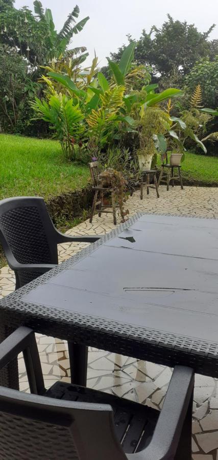 Montana Linda Guest House Orosí 外观 照片
