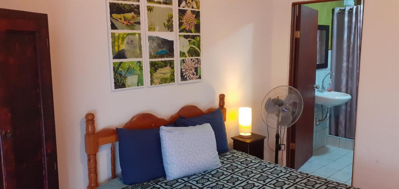 Montana Linda Guest House Orosí 外观 照片